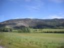 01 Canterbury plains