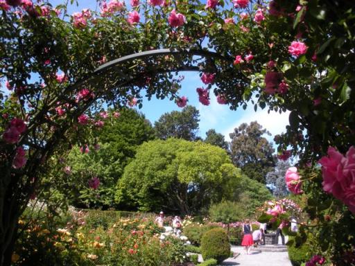 39 Hagley Park