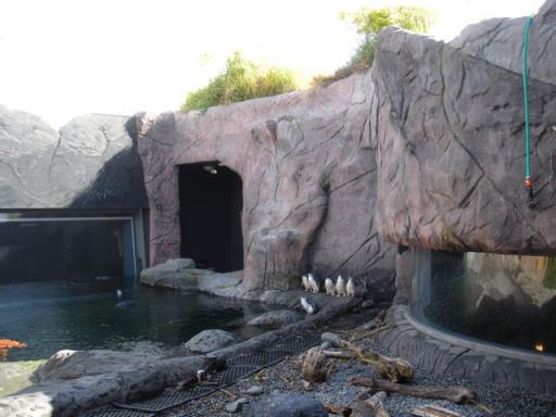 07 Penguins
