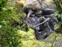  created by the rushing water of the Cleddau river