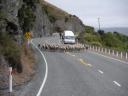 02 Blokkage op z'n NZ