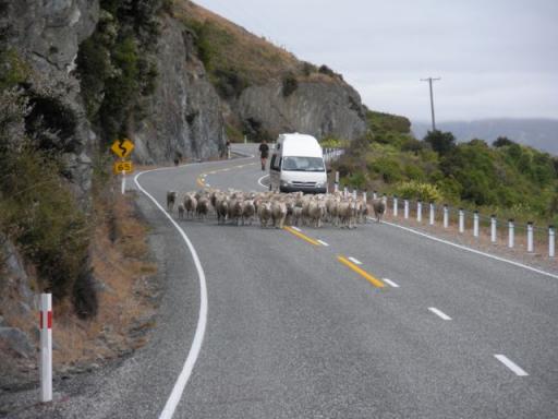 02 Blokkage op z'n NZ