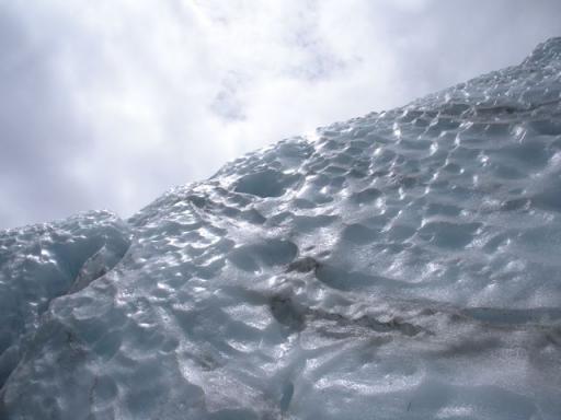 DSCN7331