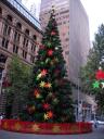 11 Xmas @ Martin Place