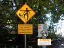 41 Cape Tribulation