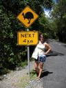11 Cassowary sign