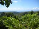 03 Daintree River mouth