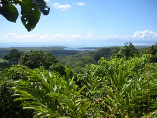 03 Daintree River mouth