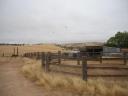27 where the horses were trained