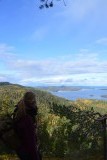 Koli national park