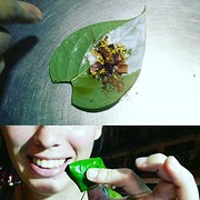 Chestnut en kauwen maar