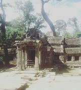 Ta Prohm aka Tomb raider