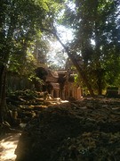 Ta Prohm aka Tomb raider