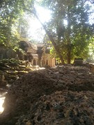 Ta Prohm aka Tomb raider