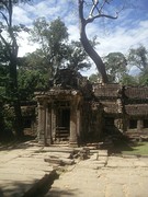 Ta Prohm aka Tomb raider