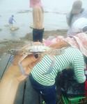 Krabbie in Kep