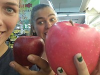 A apple a day, keeps the doctor away!
