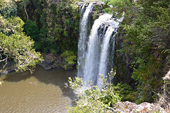 Whangarei Falls