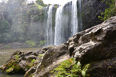 Whangarei Falls