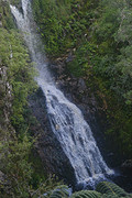 Pukenui Falls