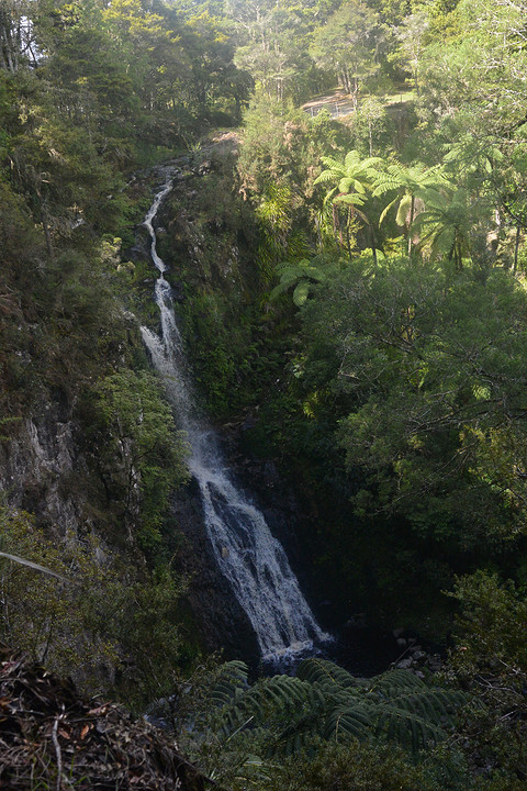Pukenui Falls