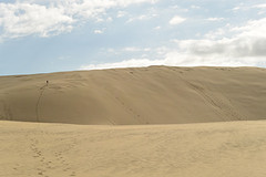 Like a desert