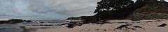 Pink beach panoramic