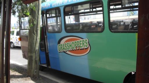Grasshopper