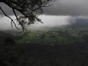 Uitzicht Regenwoud in Nimbin