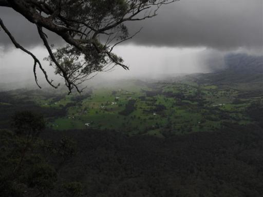 Uitzicht Regenwoud in Nimbin