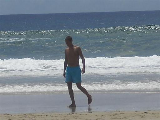 Auke op strand in Lennox