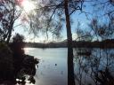 Het meer in Brunswick head.