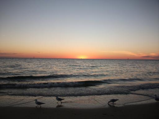 Adelaide Beach