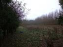 Appels