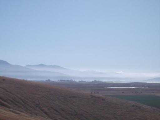 Misty