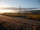 Marlborough Sunset