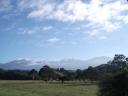 NZ