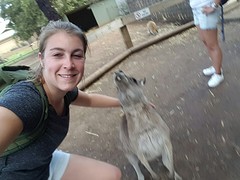 Met de happende kangaroo