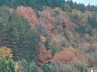 20211116 - 02 Onderweg geniet ik van de prachtige herfstkleuren