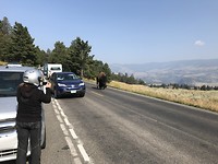 IMG_1880