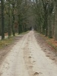 IMG_20190110_102135