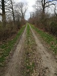 IMG_20190318_135613