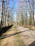 IMG_20190318_093212