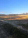 IMG_20190319_092411