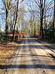 IMG_20190319_091329