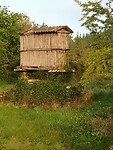 20220504_082446