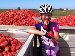 Een walhalla voor tomatenliefhebbers