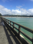 Tolaga Bay, de langste steiger van NZ