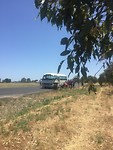 Buspech!!!
