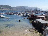 IMG-20191018-WA0003